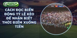 Cách Đọc Biến Động Tỷ Lệ Kèo