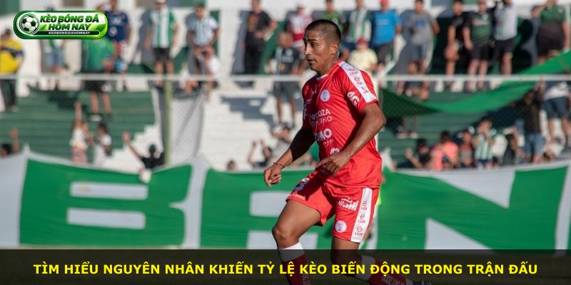 Tìm hiểu nguyên nhân khiến tỷ lệ kèo biến động trong trận đấu