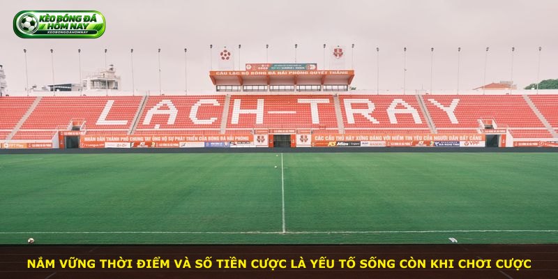 Nắm vững thời điểm và số tiền cược là yếu tố sống còn khi chơi cược