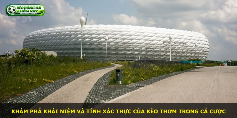 Khám phá khái niệm và tính xác thực của kèo thơm trong cá cược