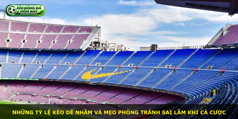 Những tỷ lệ kèo dễ nhầm và mẹo phòng tránh sai lầm khi cá cược