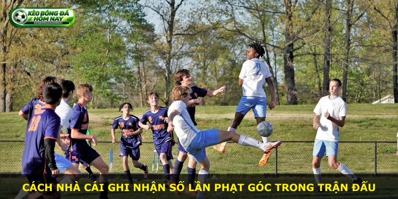 Cách nhà cái ghi nhận số lần phạt góc trong trận đấu
