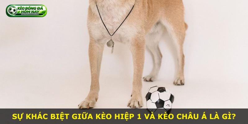 Sự khác biệt giữa kèo hiệp 1 và kèo châu Á là gì?
