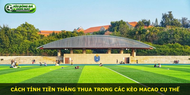 Cách tính tiền thắng thua trong các kèo Macao cụ thể