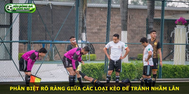 Phân biệt rõ ràng giữa các loại kèo để tránh nhầm lẫn
