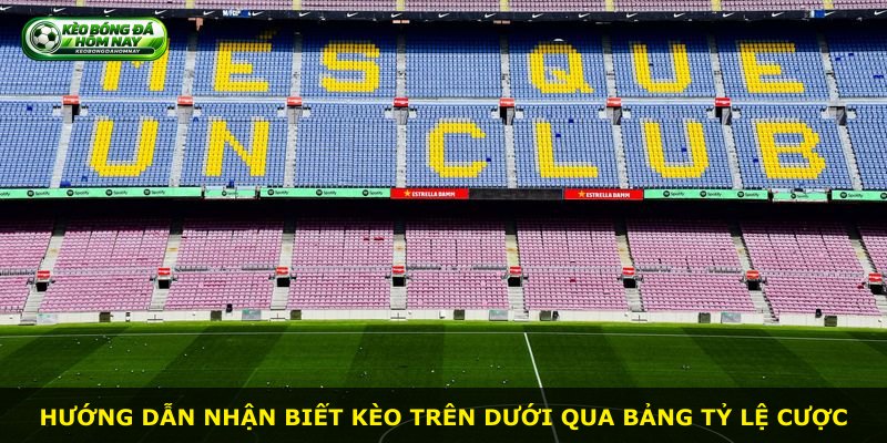Hướng dẫn nhận biết kèo trên dưới qua bảng tỷ lệ cược