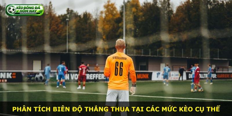 Phân tích biên độ thắng thua tại các mức kèo cụ thể
