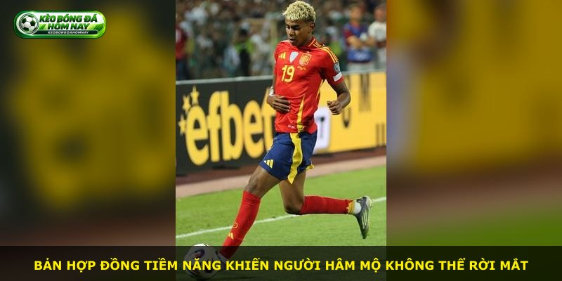 Bản hợp đồng tiềm năng khiến người hâm mộ không thể rời mắt