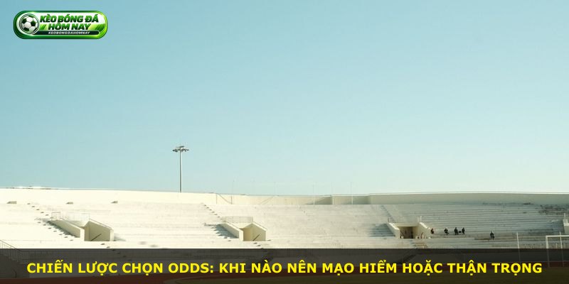 Chiến lược chọn odds: khi nào nên mạo hiểm hoặc thận trọng