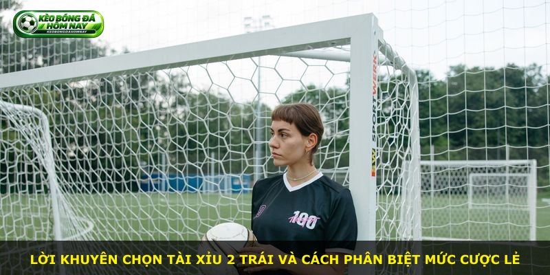 Lời khuyên chọn Tài Xỉu 2 Trái và cách phân biệt mức cược lẻ